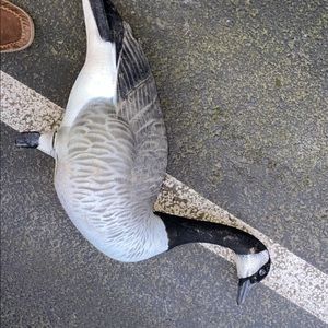 Goose decoys